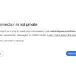 Nexbridgeacquisition.com Under Scrutiny