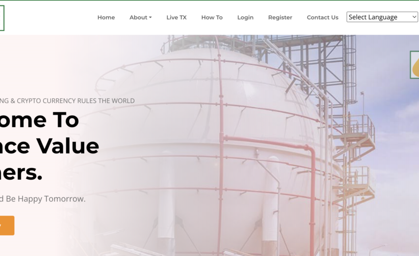 The Dark Side of Alliancevalue-partners.com