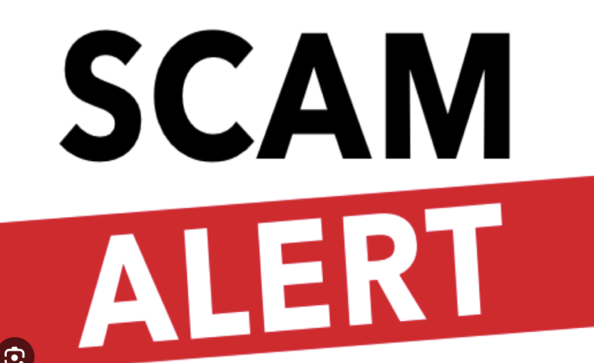 Bulhills.com Scam Review