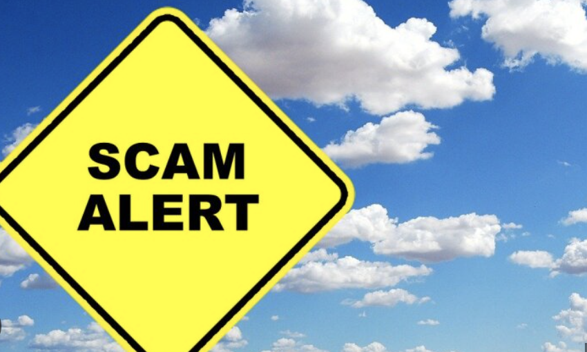 Pro-cion.com Exposed