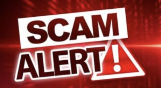 Unmasking Fudomex.com