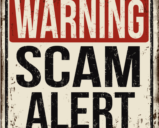 Webwavedigitaltrading.com Review