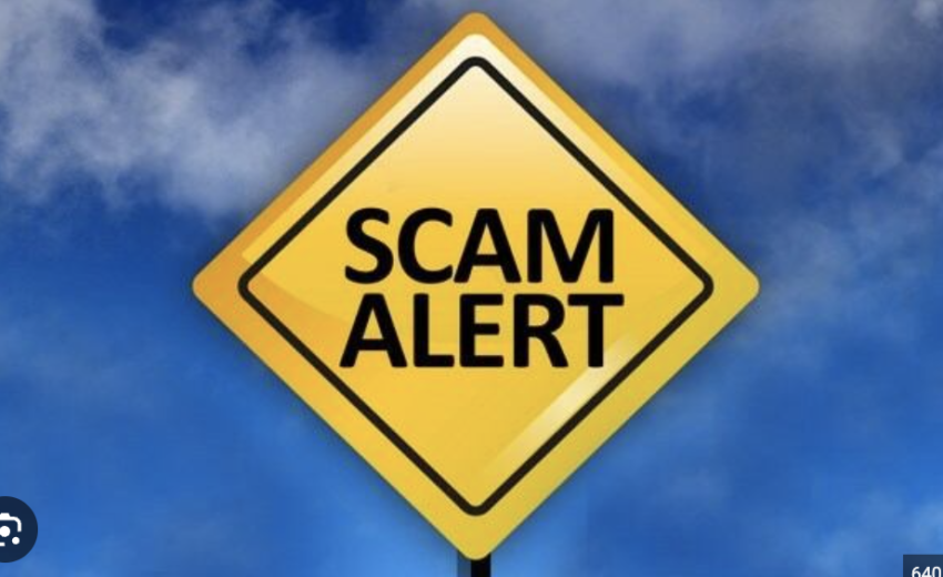 Wp-oasis.com Under Scrutiny