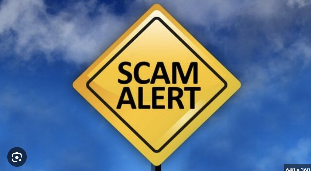 Wp-oasis.com Under Scrutiny