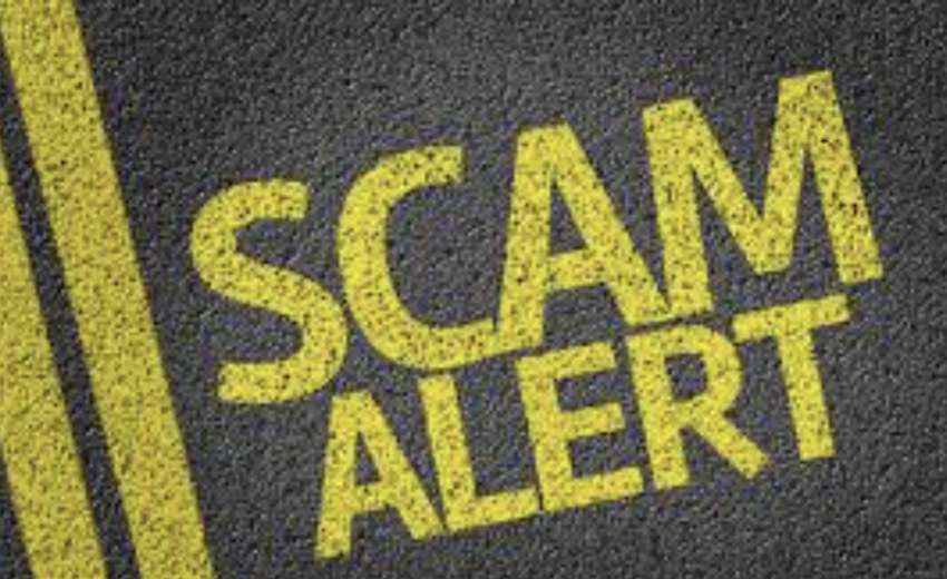 A Comprehensive Wotf.io Scam Review