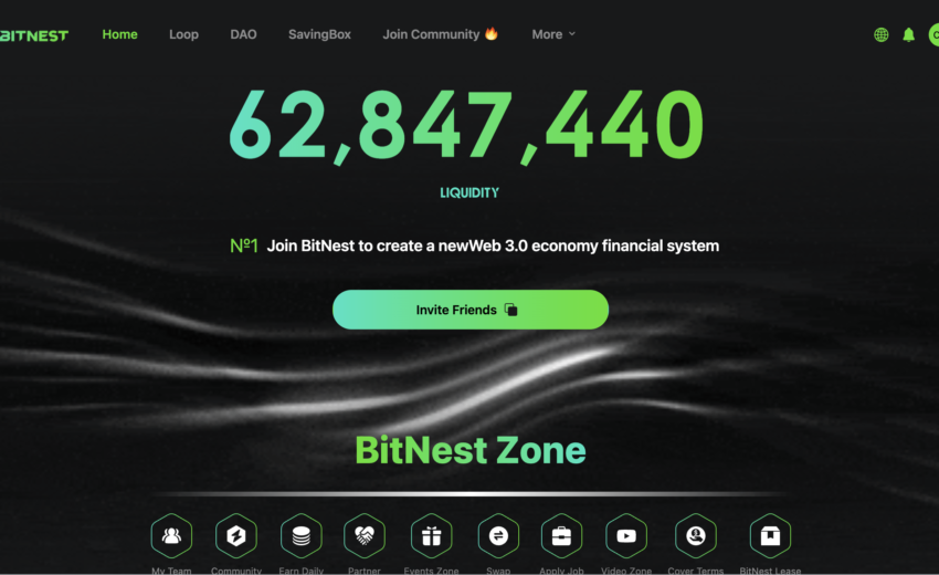 Bitnest.fi / Bitnest.finance Exposed