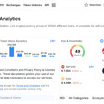 Cryptorank.io Under Scrutiny